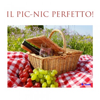 IL PIC-NIC PERFETTO!