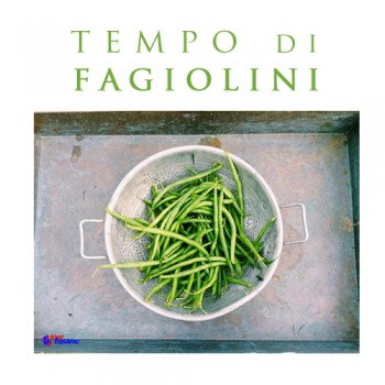 TEMPO DI FAGIOLINI!