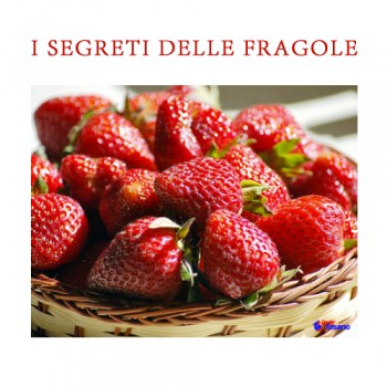 I SEGRETI DELLE FRAGOLE