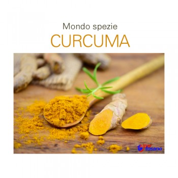 Mondo spezie: curcuma