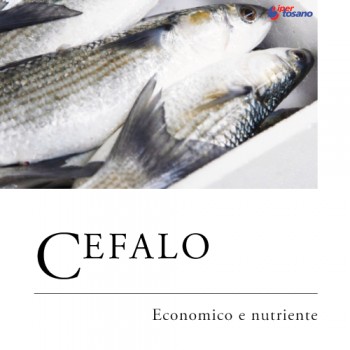 CEFALO, ECONOMICO E NUTRIENTE