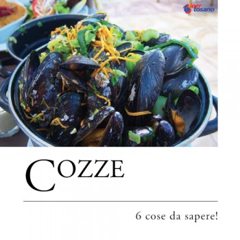 COZZE: 6 COSE DA SAPERE!