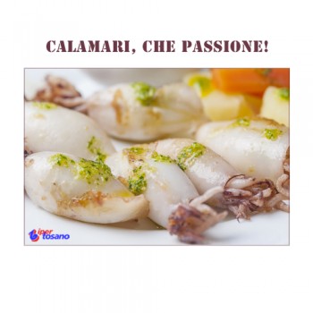 Calamari, che passione!