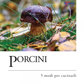 PORCINI: 5 MODI PER CUCINARLI