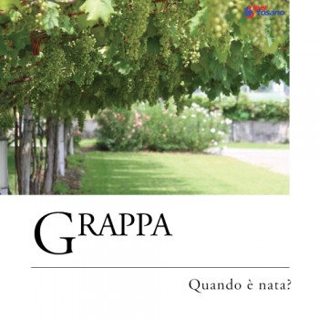 GRAPPA: QUANDO E' NATA?