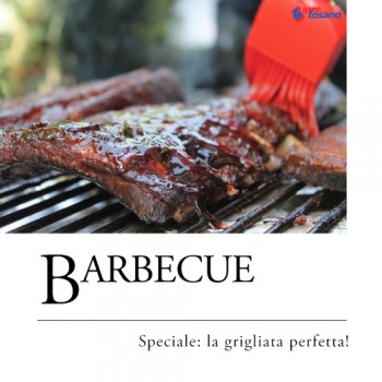 BARBECUE: LA GRIGLIATA PERFETTA