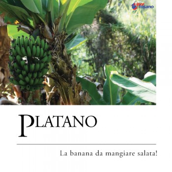 PLATANO, LA BABAB DA MANGIARE SALATA!