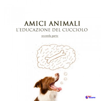 Amici animali: l'educazione del cucciolo - seconda parte 