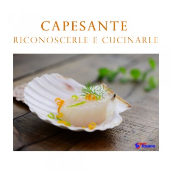 CAPESANTE: RICONOSCERLE E CUCINARLE