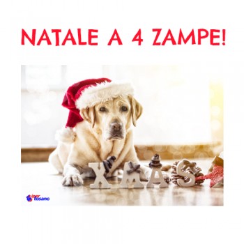 NATALE A 4 ZAMPE!