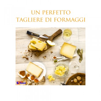 UN PERFETTO TAGLIERE DI FORMAGGI