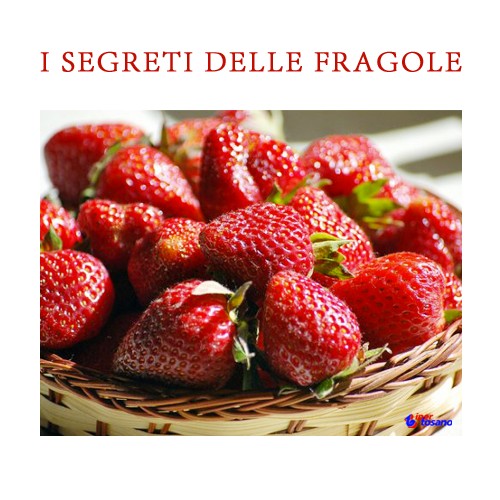 I SEGRETI DELLE FRAGOLE I SEGRETI DELLE FRAGOLE
