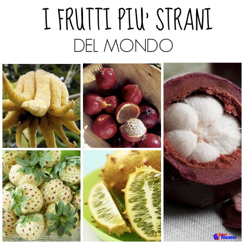 I FRUTTI PIU' STRANI DEL MONDO