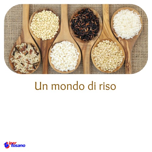 Un mondo di riso Un mondo di riso