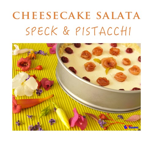 CHEESECAKE SALATA CON SPECK E PISTACCHI CHEESECAKE SALATA CON SPECK E PISTACCHI