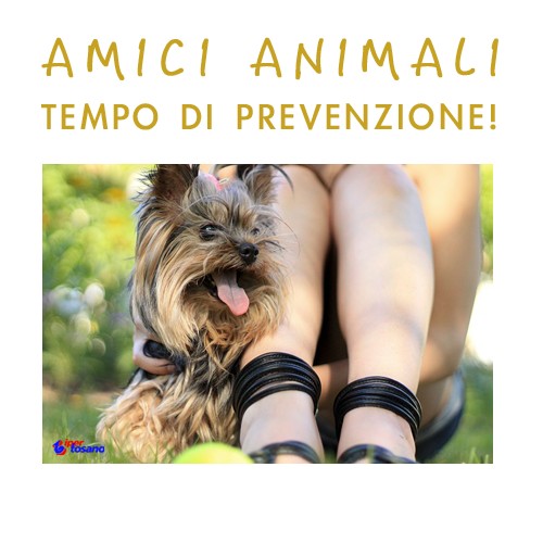 AMICI ANIMALI: TEMPO DI PREVENZIONE!