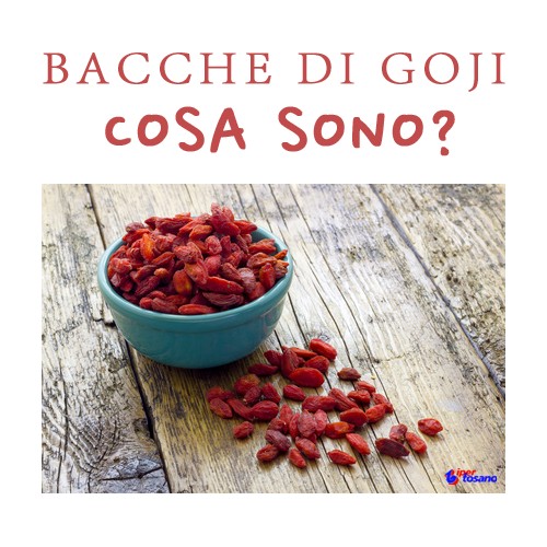 BACCHE DI GOJI: COSA SONO? BACCHE DI GOJI: COSA SONO?