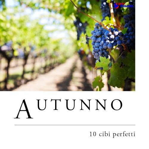 AUTUNNO: 10 CIBI PERFETTI