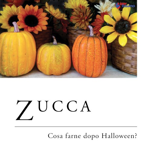 ZUCCA: COSA FARNE DOPO HALLOWEEN?