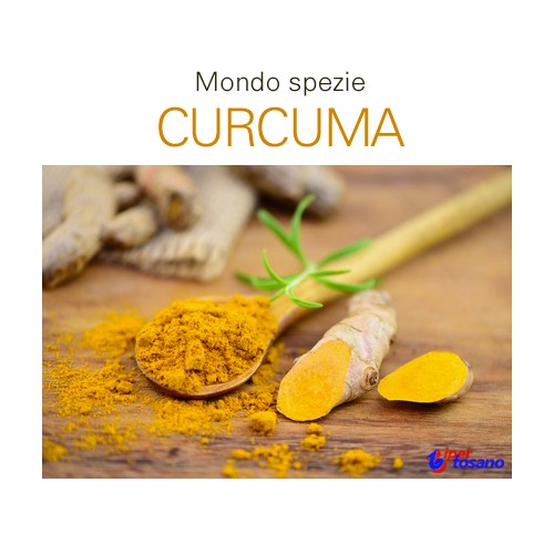 Mondo spezie: curcuma Mondo spezie: curcuma