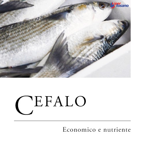 CEFALO, ECONOMICO E NUTRIENTE CEFALO, ECONOMICO E NUTRIENTE