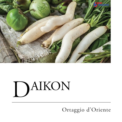 DAIKON, ORTAGGIO D'ORIENTE