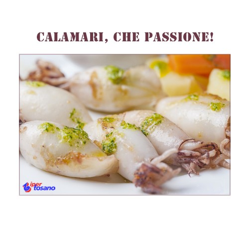Calamari, che passione! Calamari, che passione!