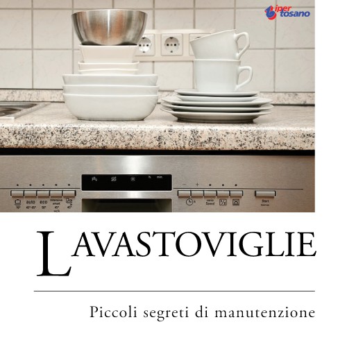 LAVASTOVIGLIE: SEGRETI DI PICCOLA MANUTENZIONE