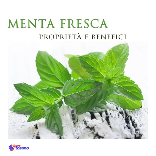 Menta fresca: proprietà e benefici