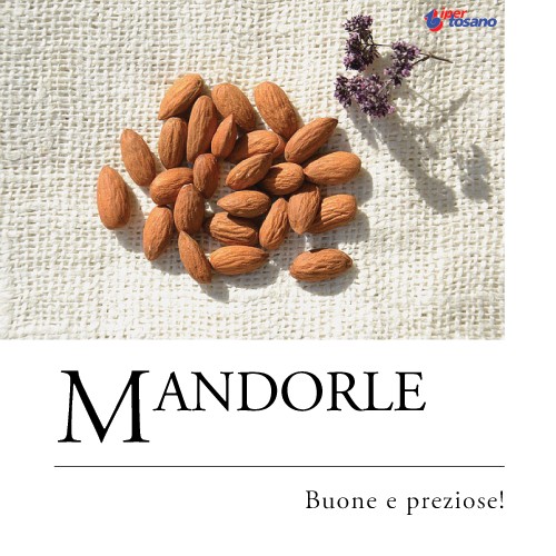 MANDORLE: BUONE E PREZIOSE!