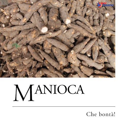 MANIOCA, CHE BONTA'!