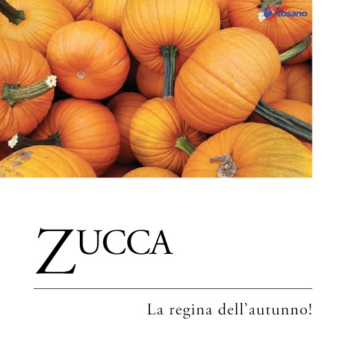 ZUCCA, LA REGINA DELL'AUTUNNO!