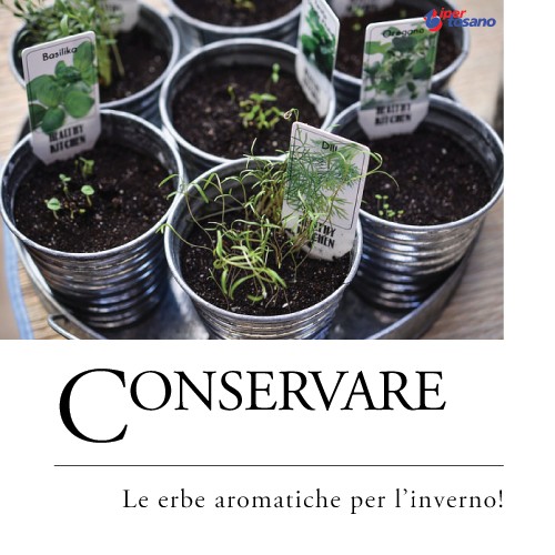 CONSERVARE LE ERBE AROMATICHE PER L'INVERNO!