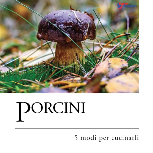 PORCINI: 5 MODI PER CUCINARLI PORCINI: 5 MODI PER CUCINARLI
