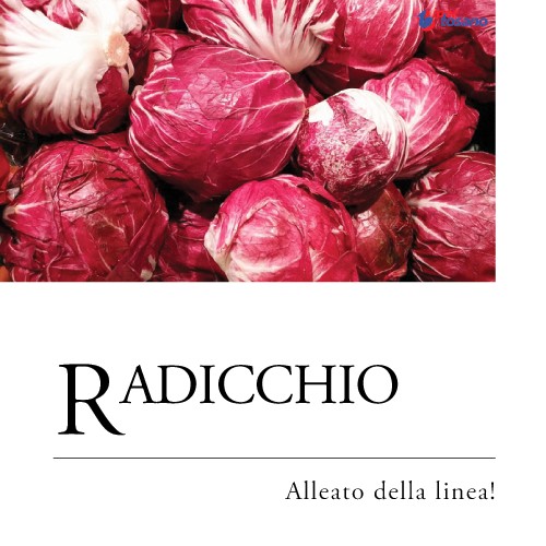 RADICCHIO, ALLEATO DELLA LINEA