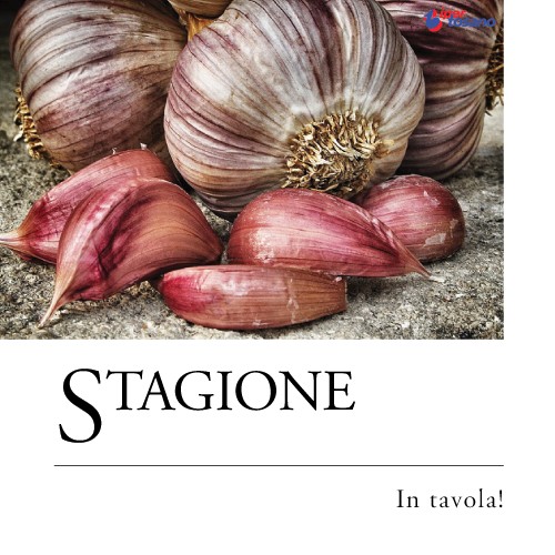 STAGIONE IN TAVOLA: AGLIO ROSSO DI NUBIA E CIPOLLE DI CANNARA