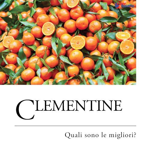 CLEMENTINE: QUALI SONO LE MIGLIORI?