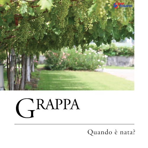 GRAPPA: QUANDO E' NATA? GRAPPA: QUANDO E' NATA?