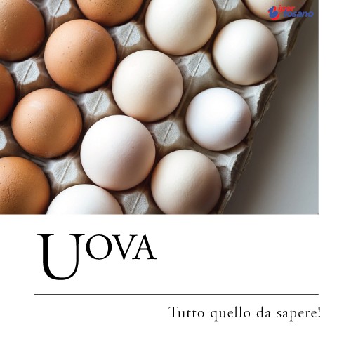 UOVA: TUTTO QUELLO DA SAPERE!