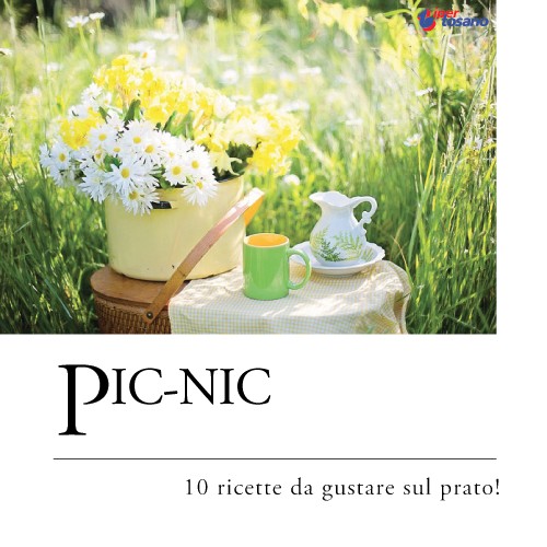 PIC-NIC: 10 RICETTE DA GUSTARE SUL PRATO!