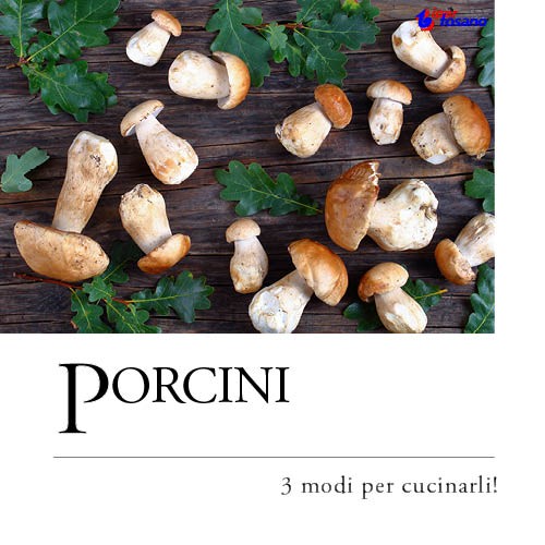 PORCINI:  MODI PER CUCINARLI!