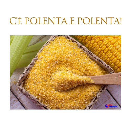 C'è POLENTA E POLENTA! C'è POLENTA E POLENTA!